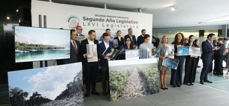PAN exige frenar el Tren Maya, investigar corrupción y activar inspección ambiental urgente