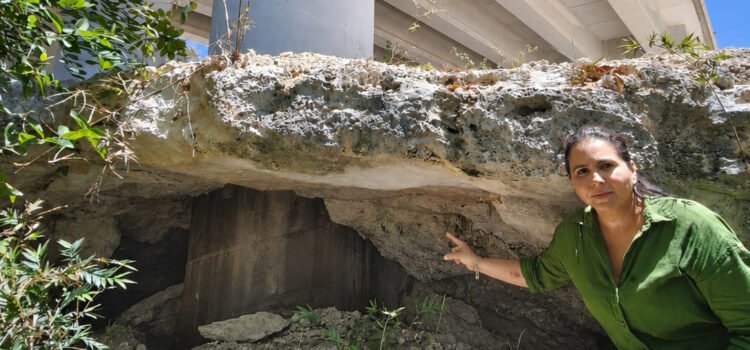Esto es lo que no quieren que muestre del Tren Maya
